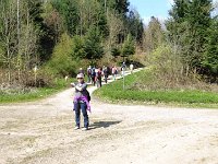 11 Cerisiers en fleurs dans l&#39;Ortenau Mösbach 10 04 2016 112